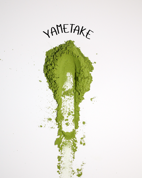 Yametake - Everyday Premium Matcha