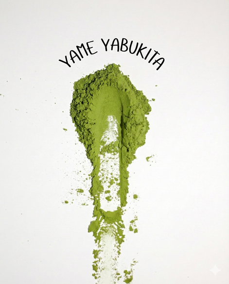 Yame Yabukita Matcha