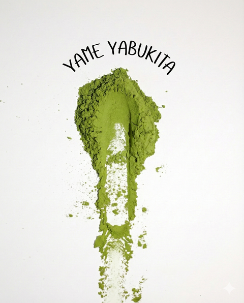 Yame Yabukita Matcha